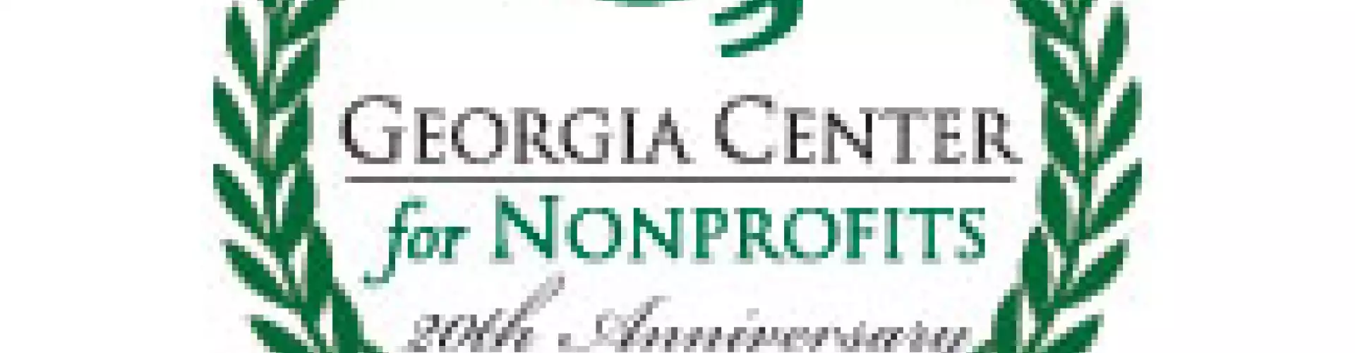 Nonprofit Summit - Online Class by Georgia Center for Nonprofits 
