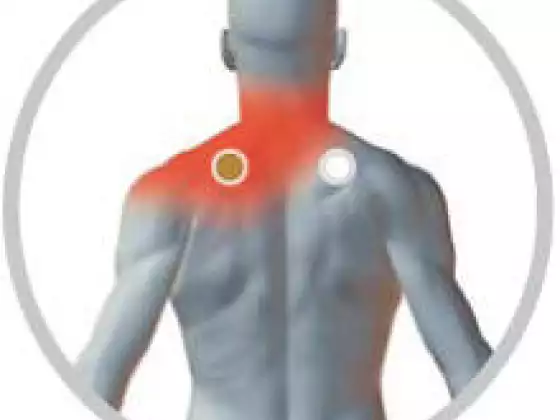 Acupuncture without Needles Professional Training - Multilingual