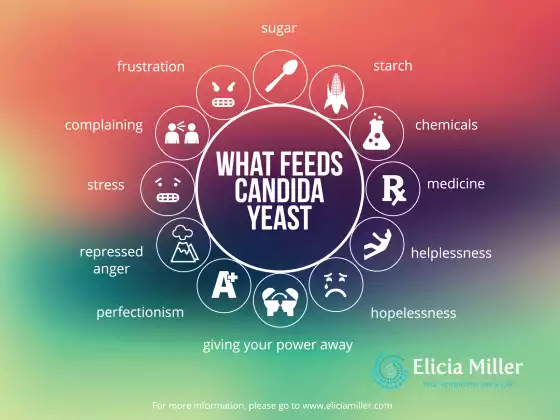 The Candida Diet