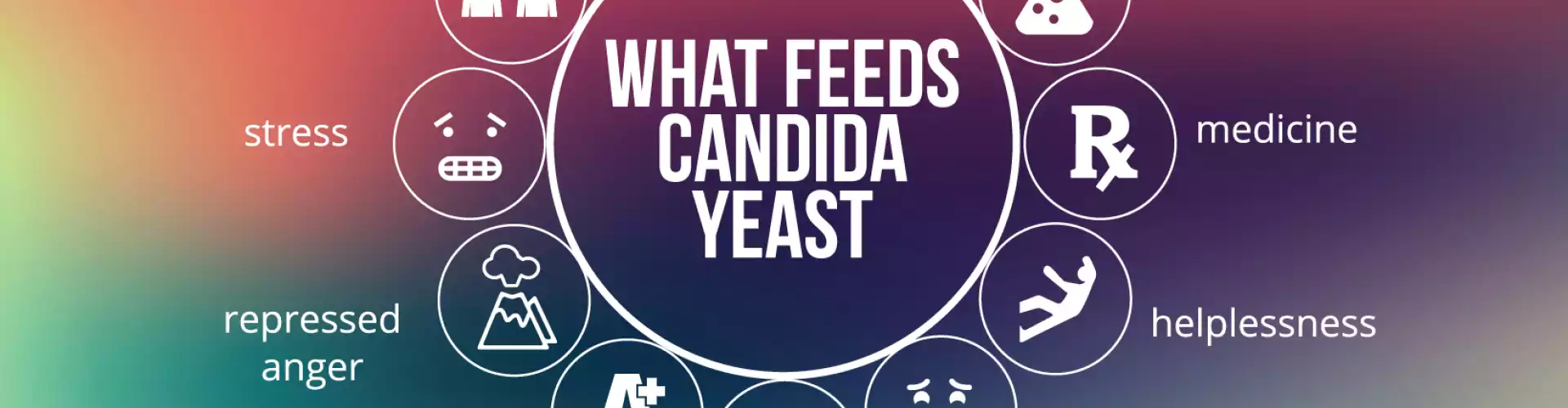 The Candida Diet - Online Class by Elicia Miller