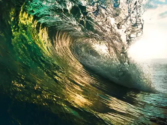 Making Waves in 2016 