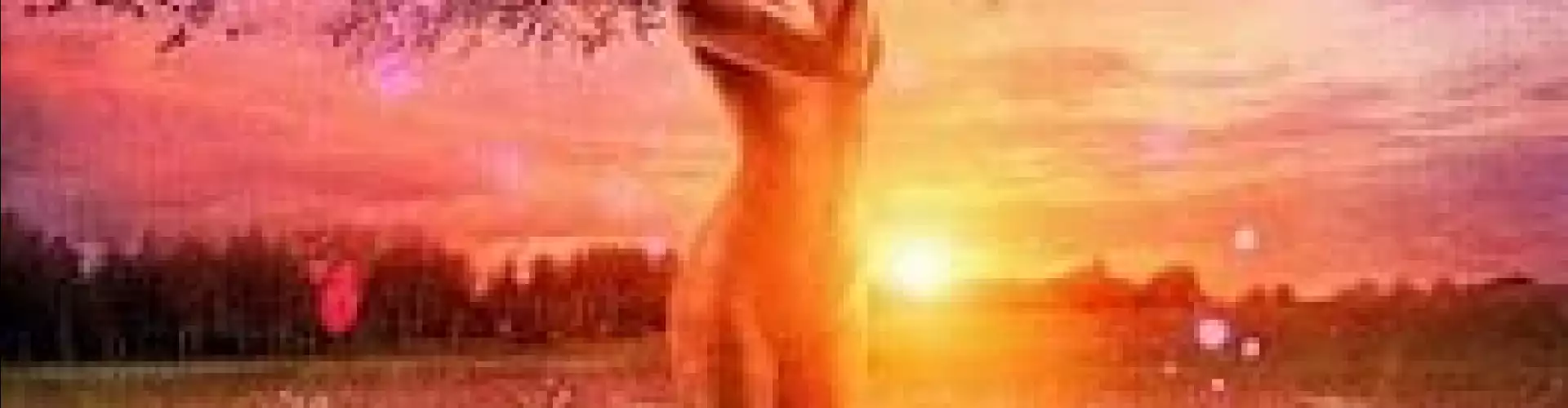 LadyBliss Week 1 - Womb Wisdom - Online Class by Mahalia Michael