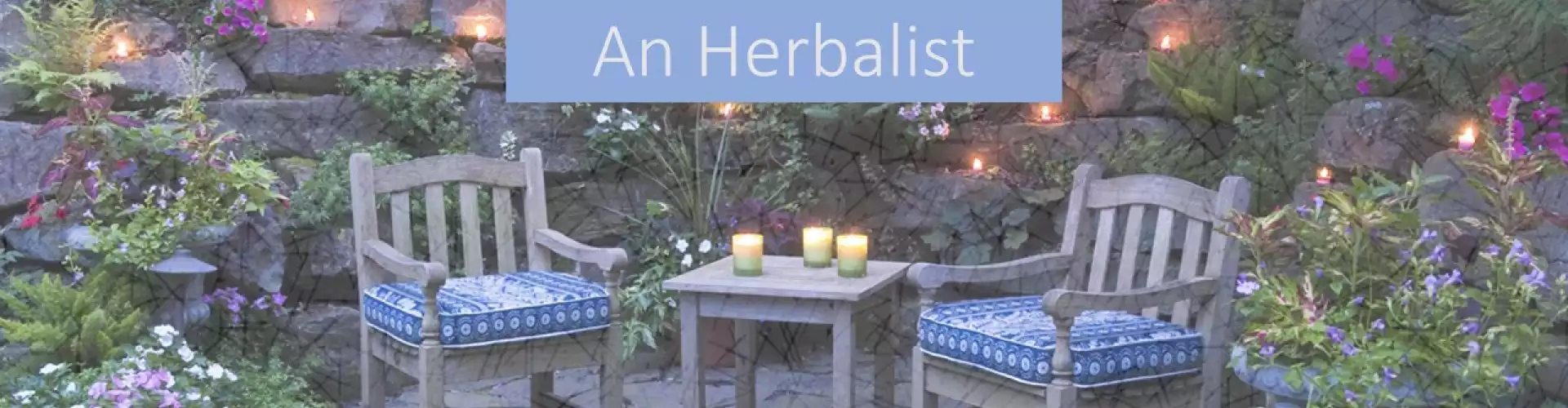 Interview With An Herbalist - Online Class by Jillian Carnrick