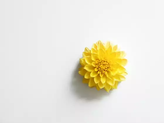 Câu hỏi và trả lời về kỹ năng làm chủ Reiki