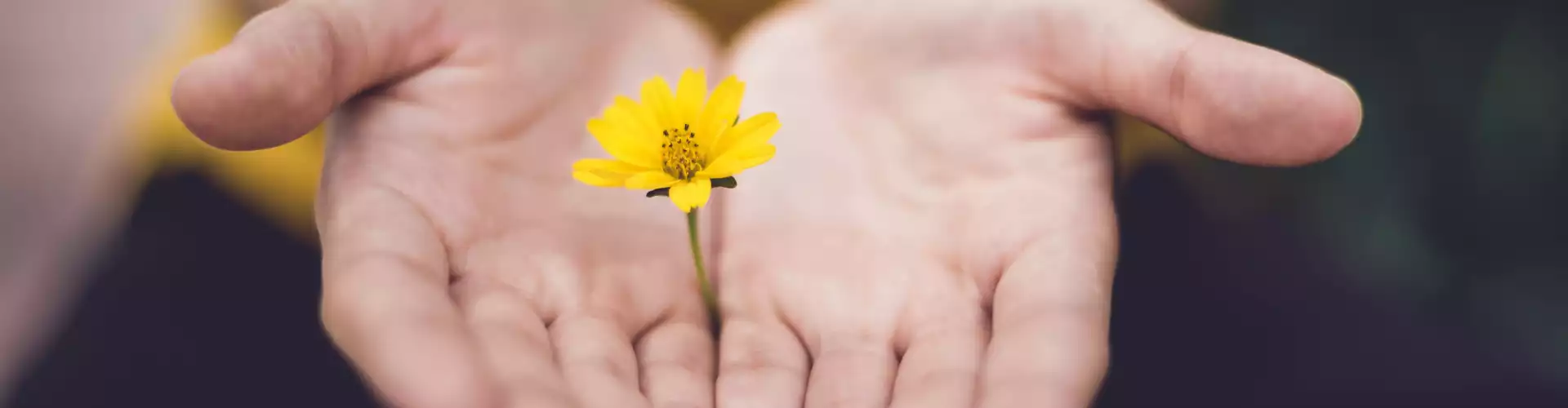 ¡Sanación de Reiki para ti y tus seres queridos!