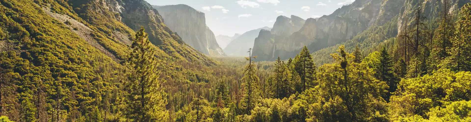 Sanación de energía de tierra y liberación - Online Class by Ismene Manakas