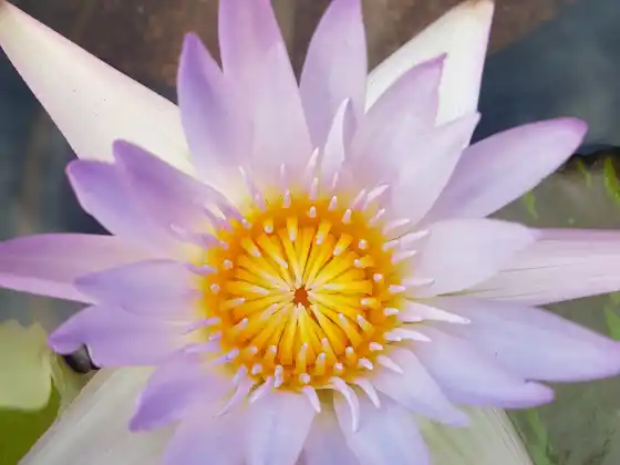 The Chakra Journey: Class Two ~ Your Foot Chakras