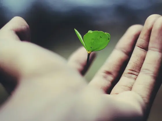 کیرئیر کیلیبریشن برائے روح سے منسلک کامیابی ویبینار 6