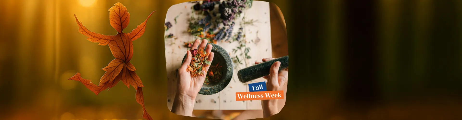Herbal First Aid sa Bahay - Online Class by Melanie Cardwell
