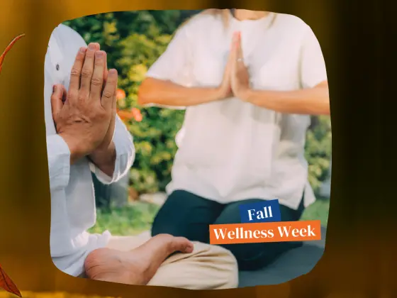 A Verdadeira História do Reiki (Aprimore sua Prática)