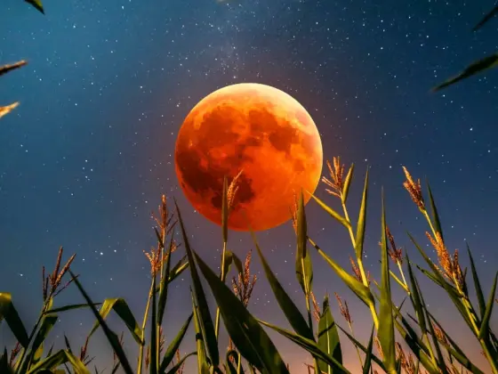 Meditação do Eclipse Solar da Lua Cheia